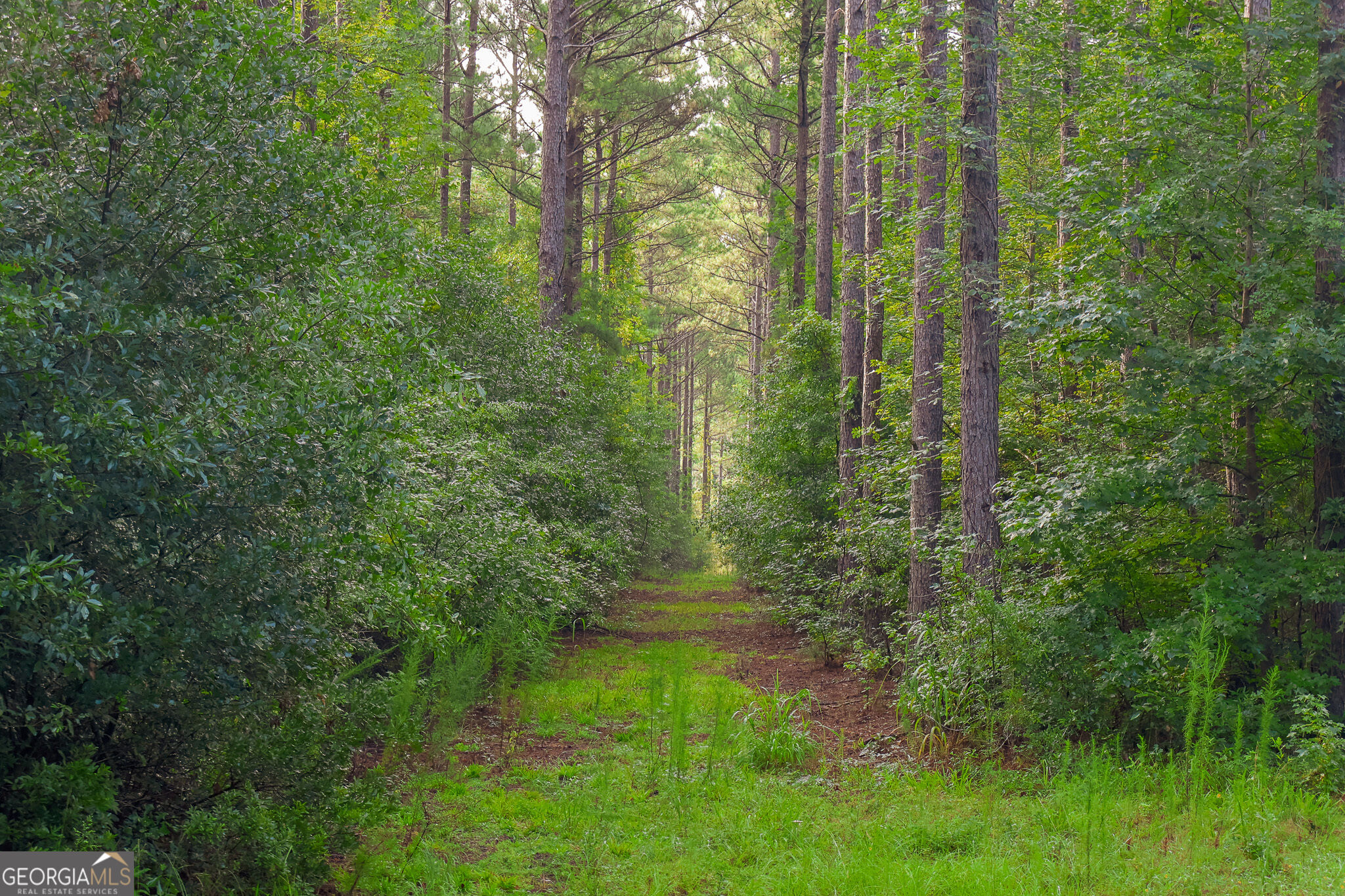 1362 Doyle Road Sardis GA 30456