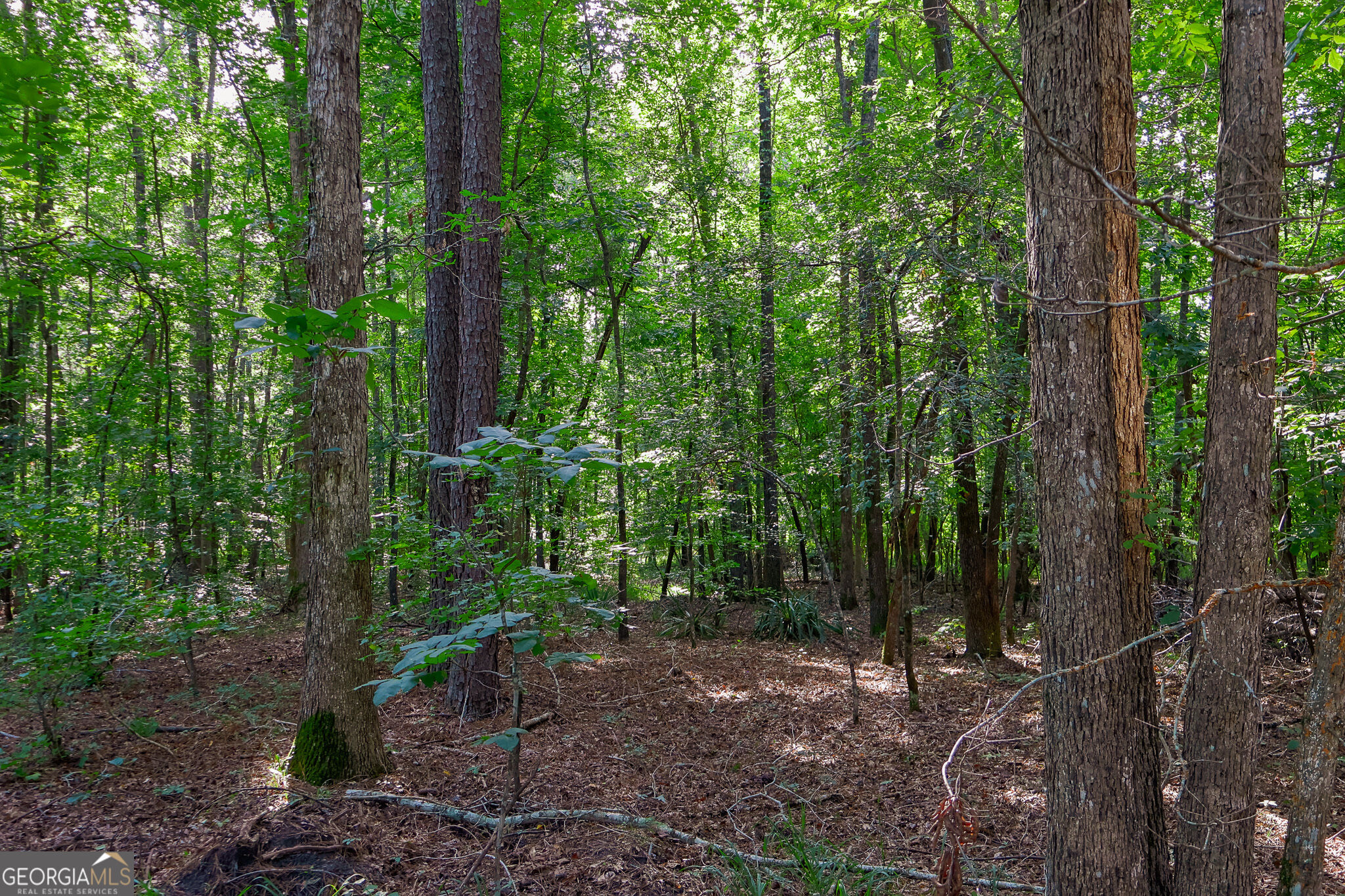 1362 Doyle Road Sardis GA 30456