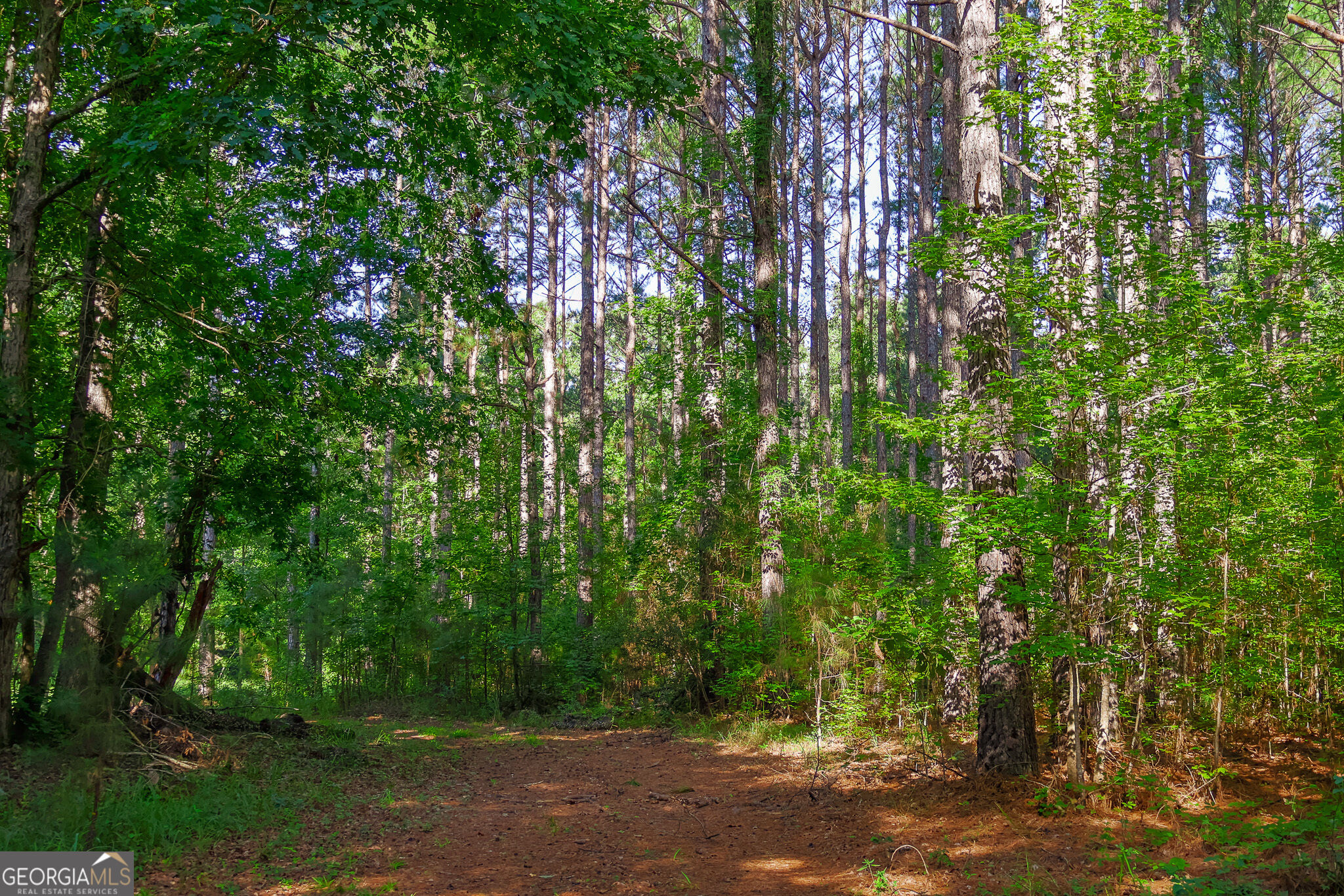 1362 Doyle Road Sardis GA 30456