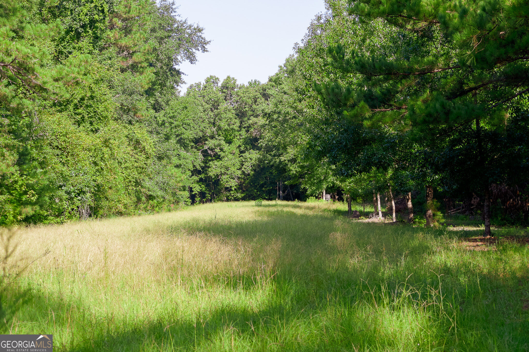 1362 Doyle Road Sardis GA 30456