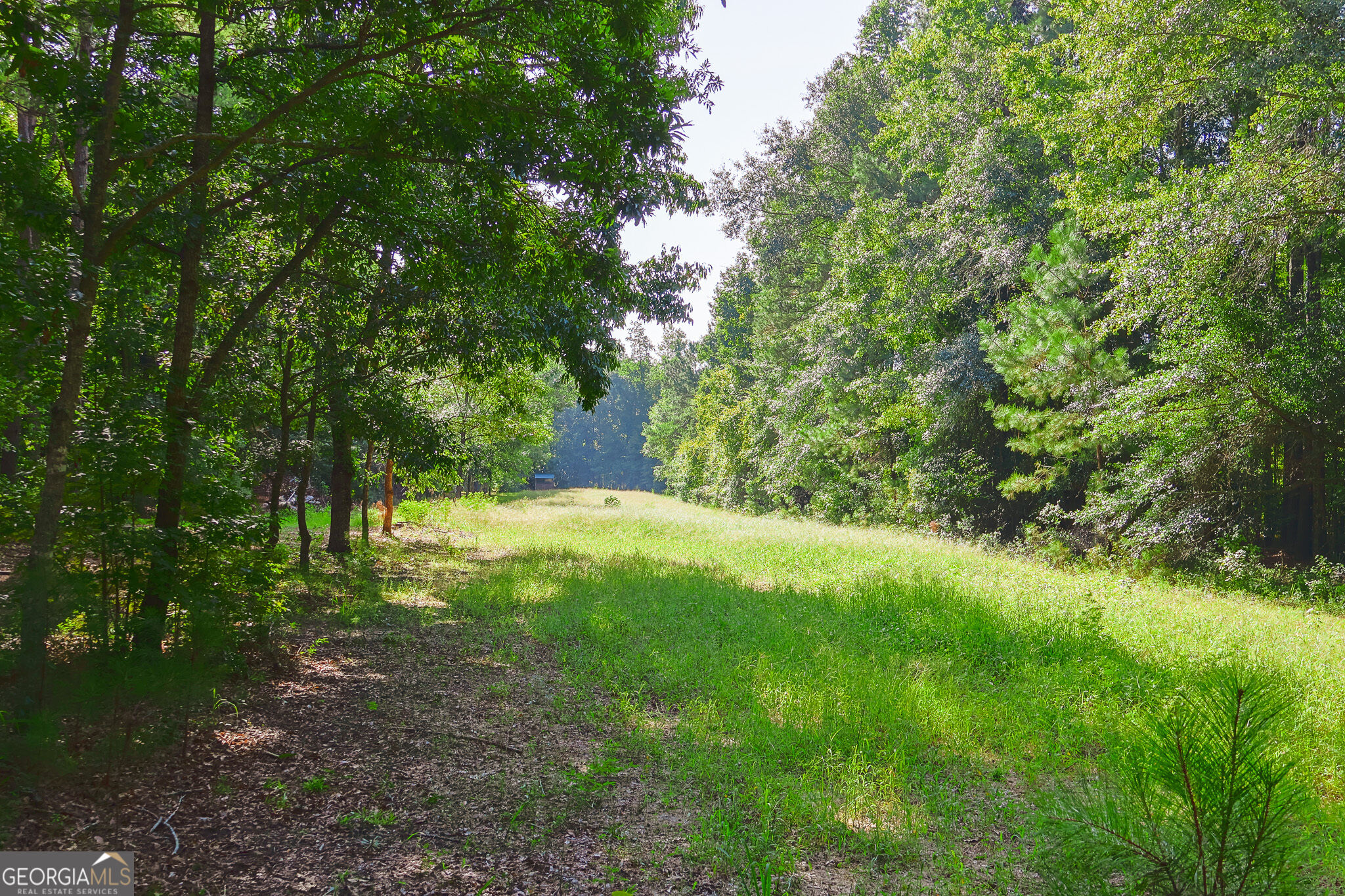 1362 Doyle Road Sardis GA 30456