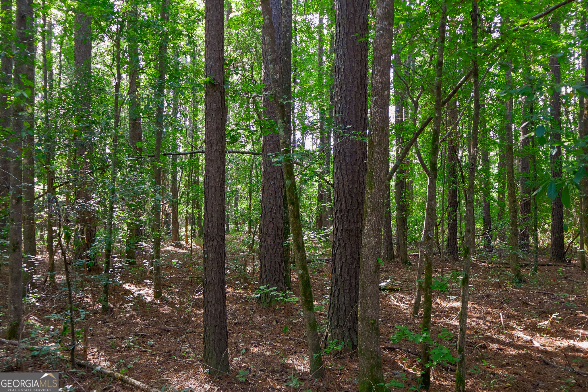 1362 Doyle Road Sardis GA 30456