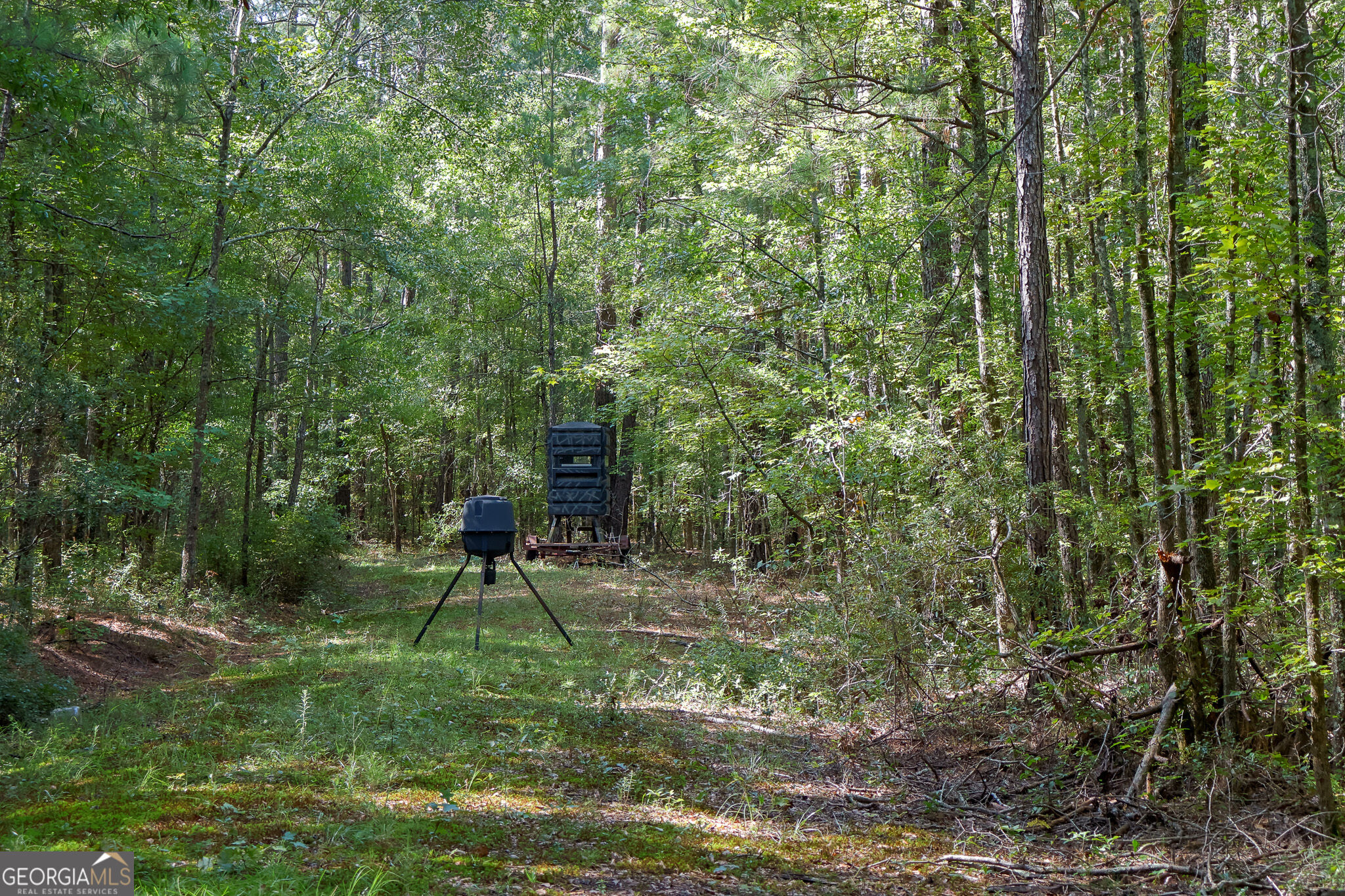 1362 Doyle Road Sardis GA 30456