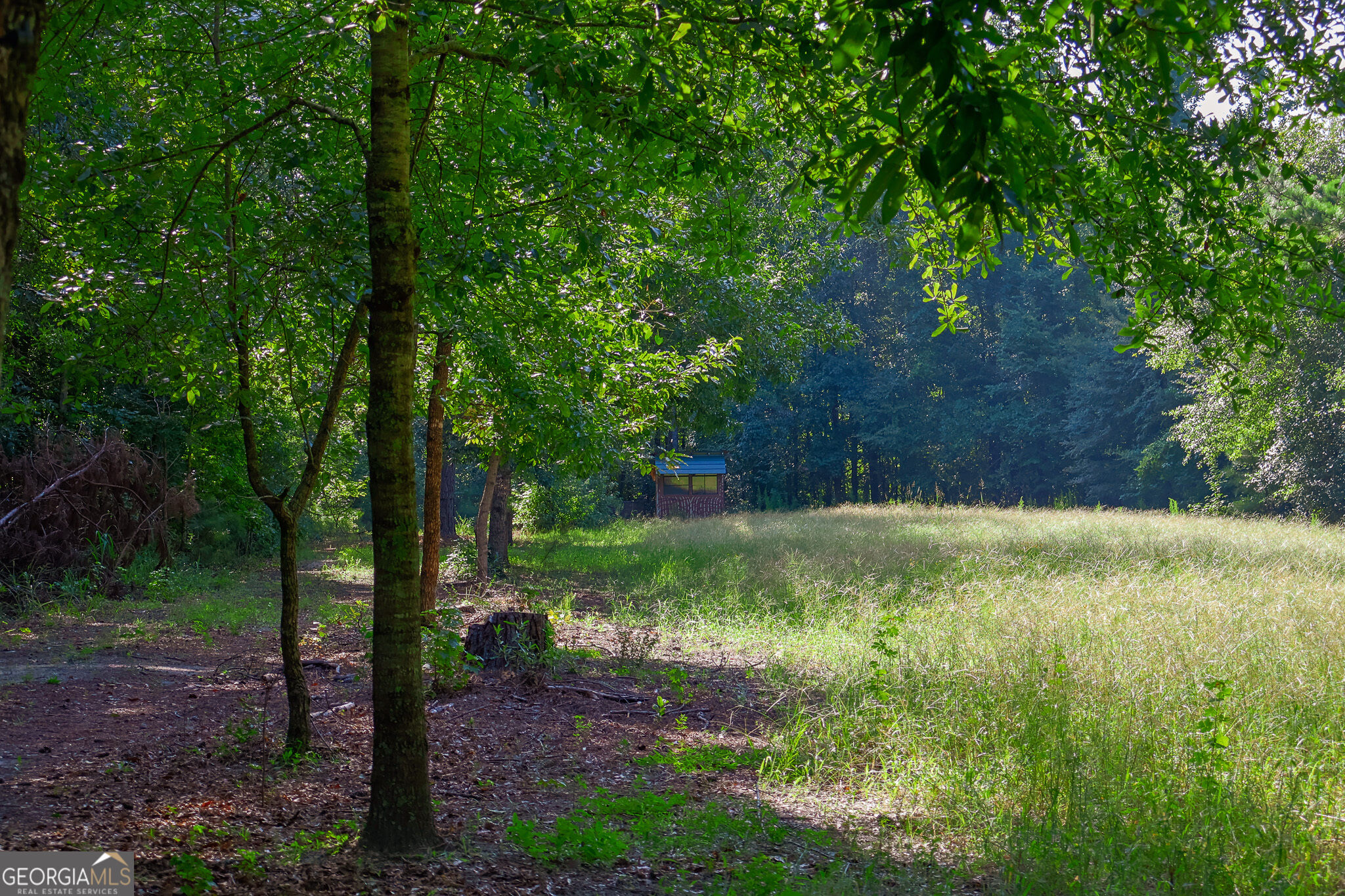 1362 Doyle Road Sardis GA 30456