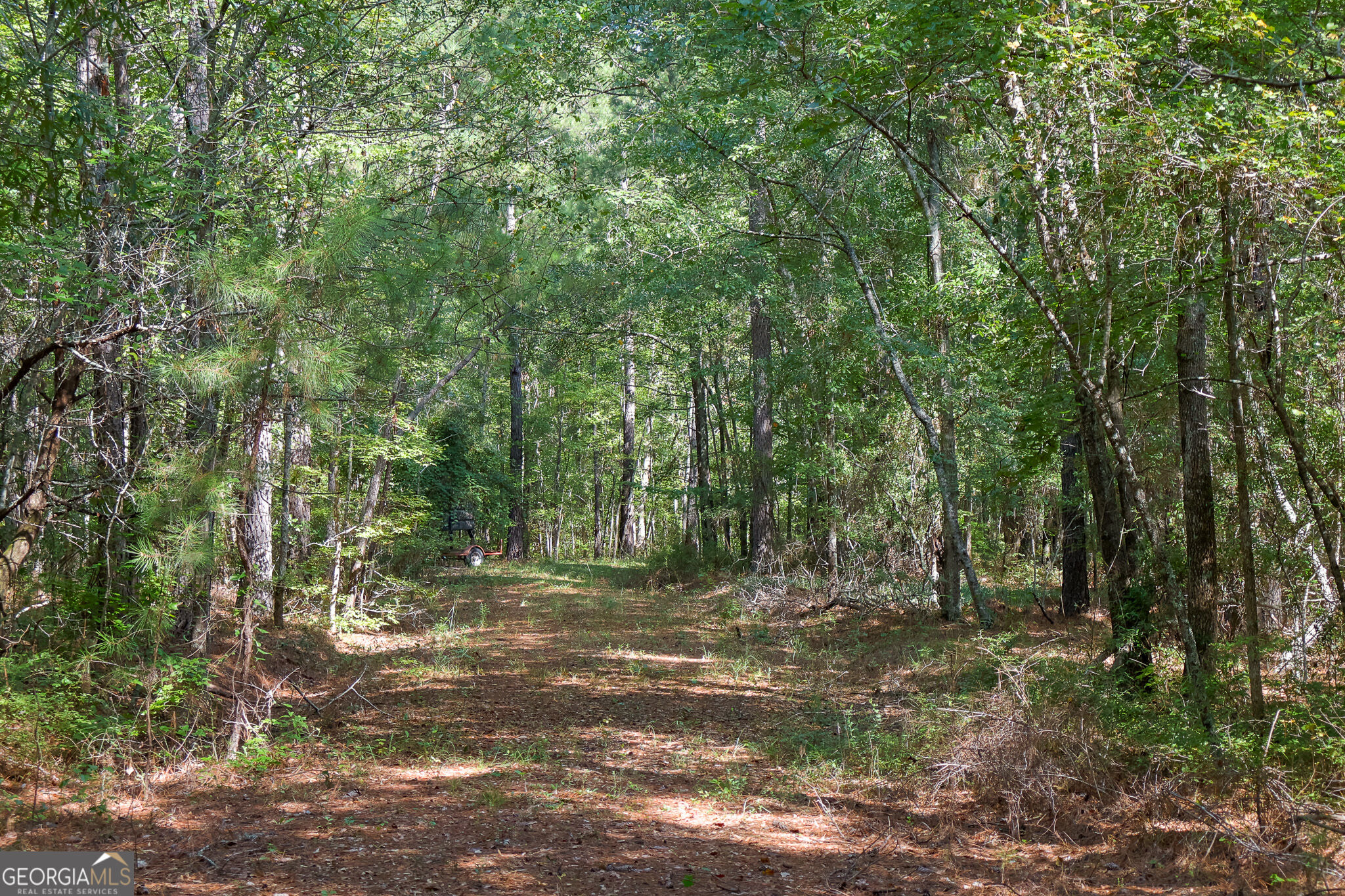 1362 Doyle Road Sardis GA 30456