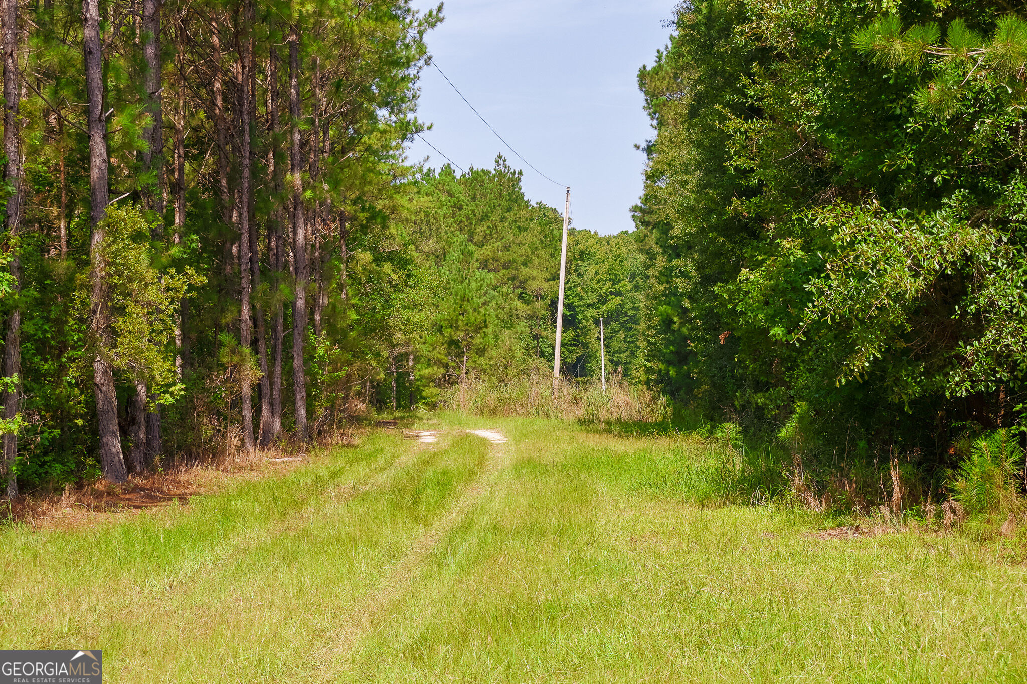1362 Doyle Road Sardis GA 30456