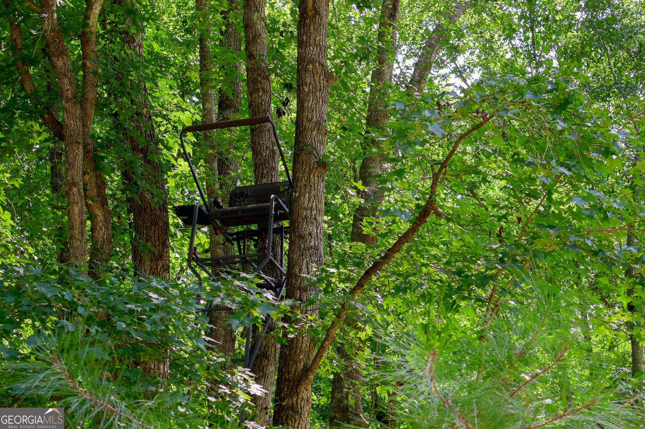 1362 Doyle Road Sardis GA 30456