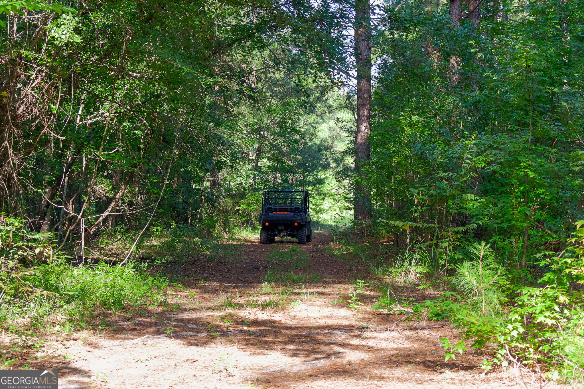 1362 Doyle Road Sardis GA 30456