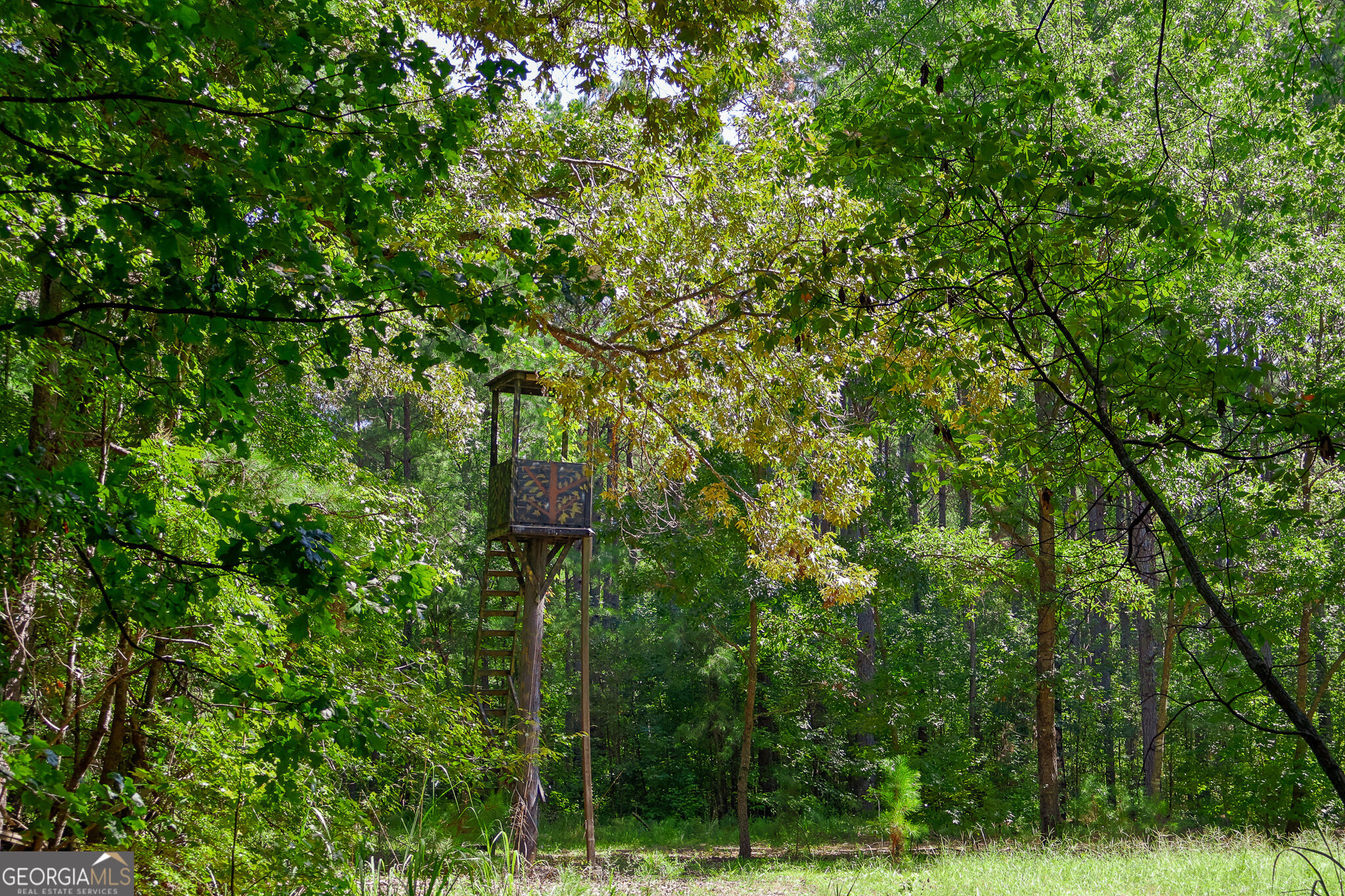 1362 Doyle Road Sardis GA 30456