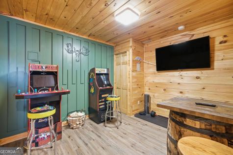 31 The Kings Court Cherry Log GA 30522