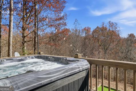 31 The Kings Court Cherry Log GA 30522