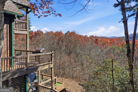 31 The Kings Court Cherry Log GA 30522