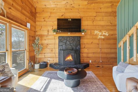 31 The Kings Court Cherry Log GA 30522