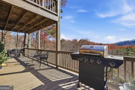 31 The Kings Court Cherry Log GA 30522
