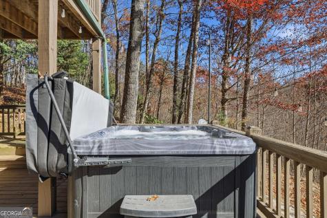 31 The Kings Court Cherry Log GA 30522