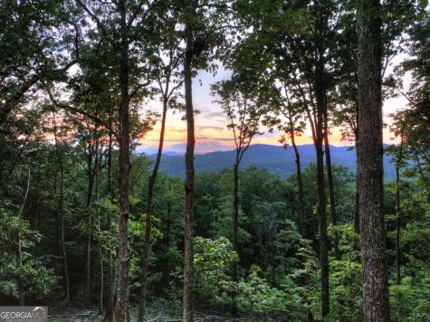 Lot 2 Aubery Ridge Morganton GA 30560
