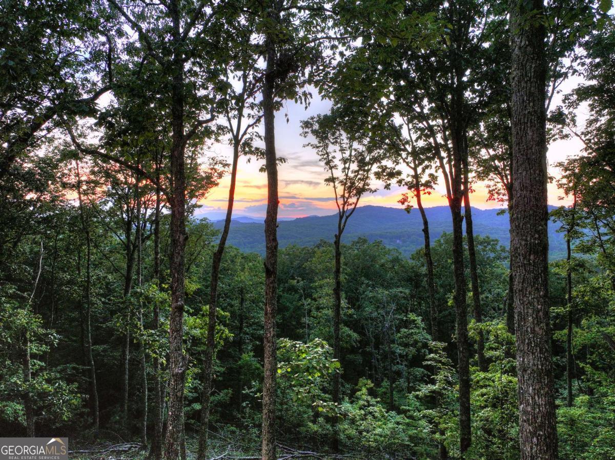 Lot 2 Aubery Ridge Morganton GA 30560