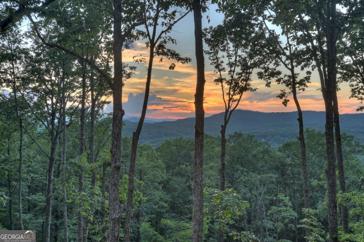 Lot 2 Aubery Ridge Morganton GA 30560