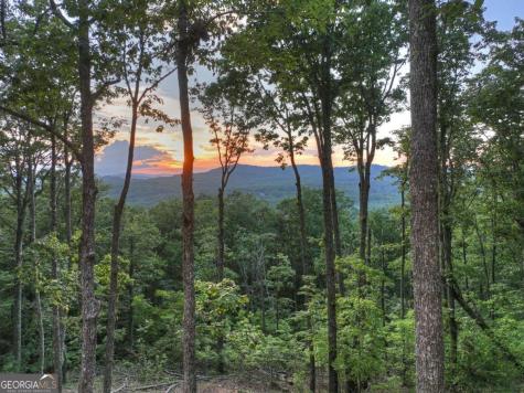 Lot 2 Aubery Ridge Morganton GA 30560