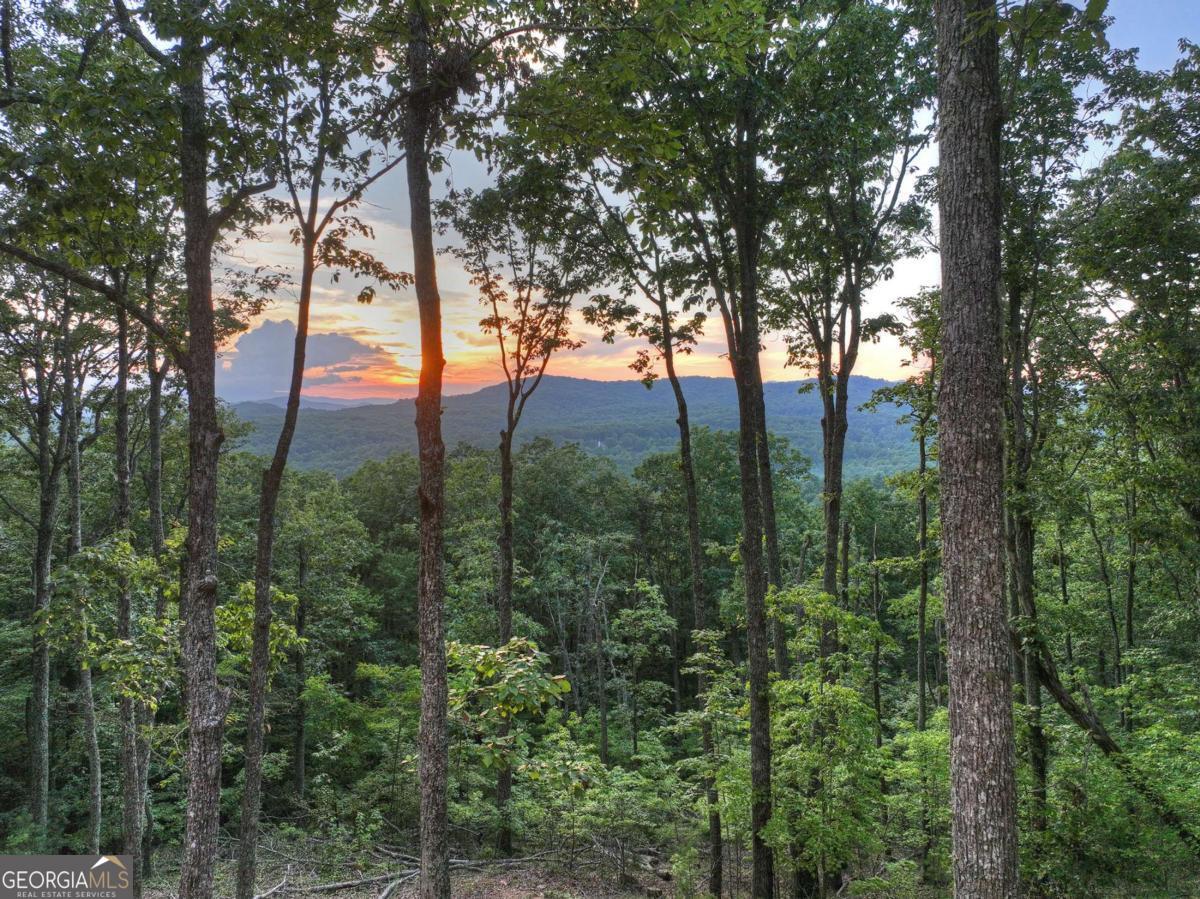 Lot 2 Aubery Ridge Morganton GA 30560