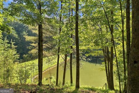 96 Clubhouse Court Ellijay GA 30536