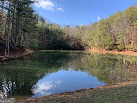 96 Clubhouse Court Ellijay GA 30536