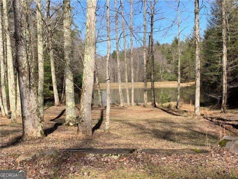 96 Clubhouse Court Ellijay GA 30536