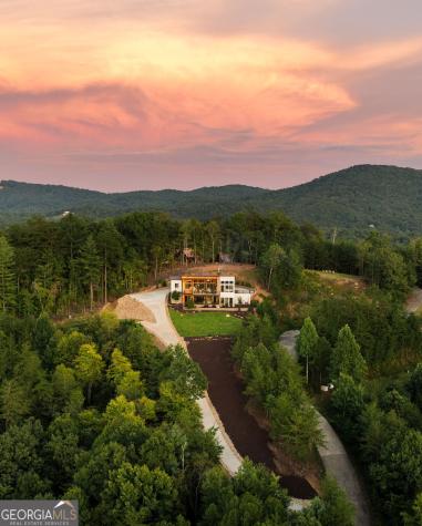 251 Angel Heart Lane Mineral Bluff GA 30559