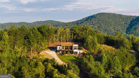 251 Angel Heart Lane Mineral Bluff GA 30559