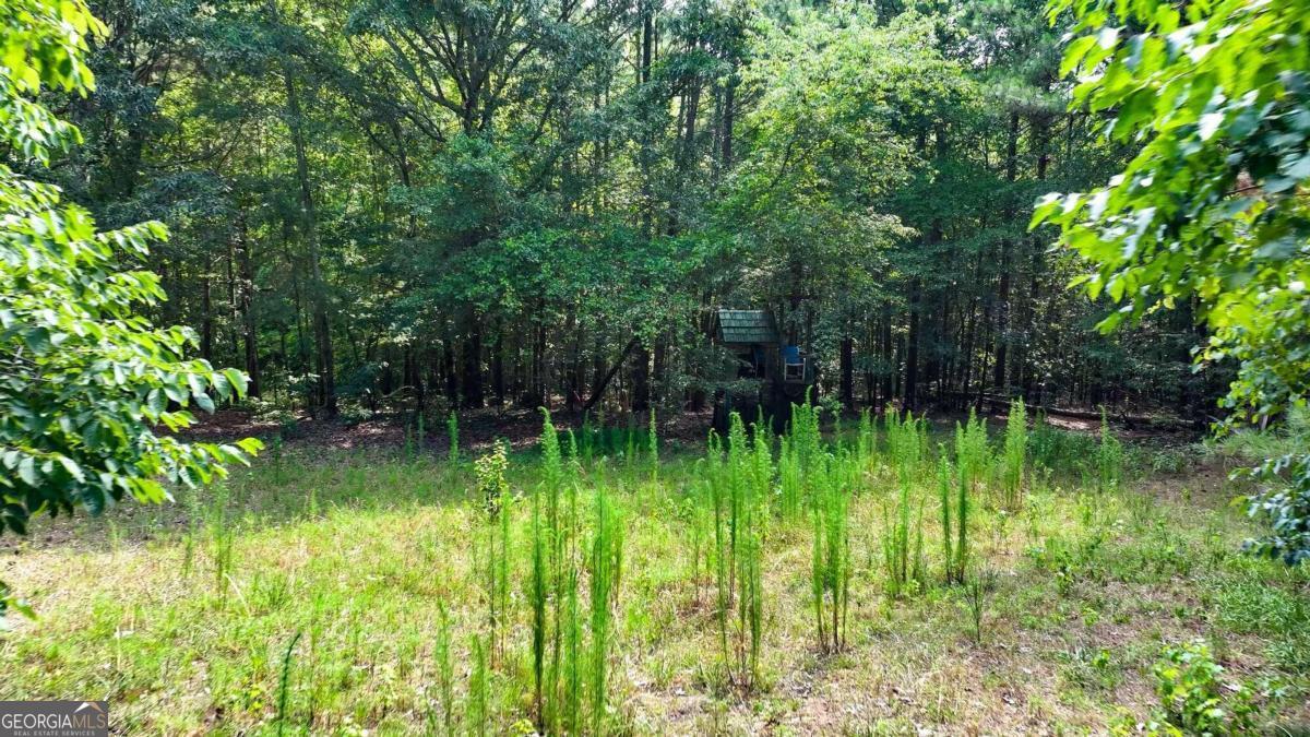 3525 Hamilton Mill Road Buford GA 30519