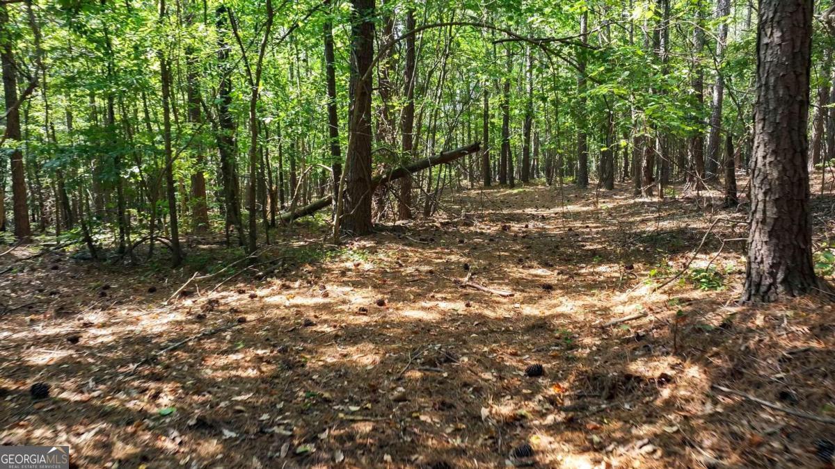 3525 Hamilton Mill Road Buford GA 30519