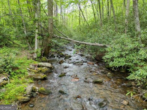 180 Dream Catcher Cove Hayesville NC 28904