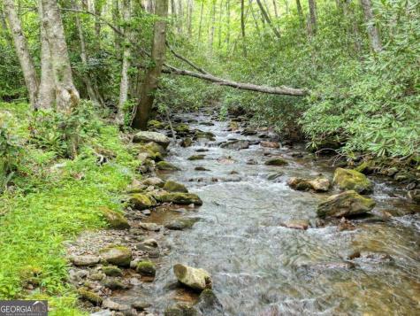 180 Dream Catcher Cove Hayesville NC 28904