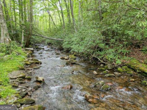 180 Dream Catcher Cove Hayesville NC 28904