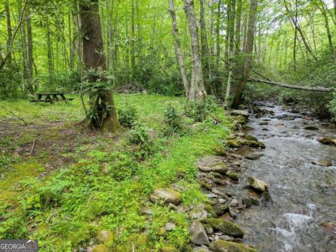 180 Dream Catcher Cove Hayesville NC 28904