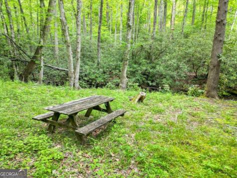 180 Dream Catcher Cove Hayesville NC 28904