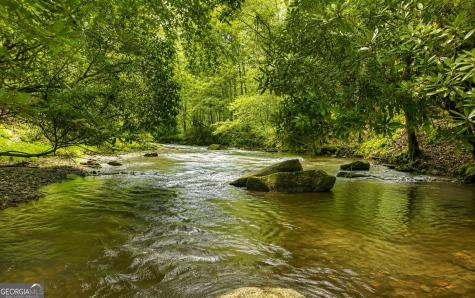 3149 Big Creek Road Cherry Log GA 30522