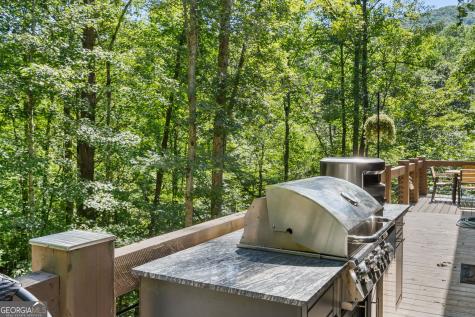 3149 Big Creek Road Cherry Log GA 30522