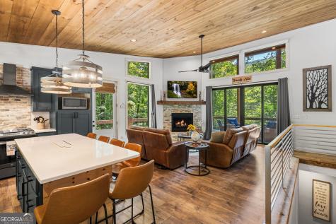 3149 Big Creek Road Cherry Log GA 30522