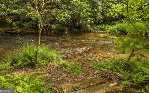 3149 Big Creek Road Cherry Log GA 30522
