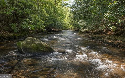 3149 Big Creek Road Cherry Log GA 30522