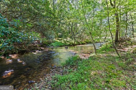 3149 Big Creek Road Cherry Log GA 30522