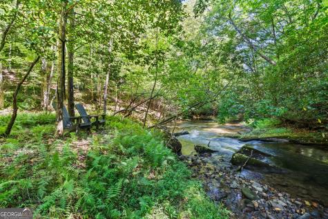 3149 Big Creek Road Cherry Log GA 30522