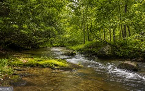 3149 Big Creek Road Cherry Log GA 30522