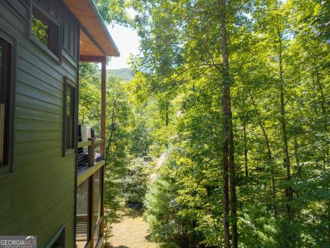 3149 Big Creek Road Cherry Log GA 30522
