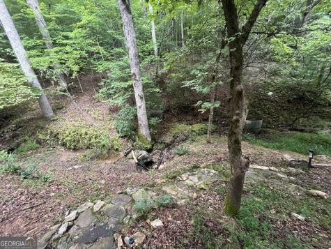 1543 Tipton Springs Road Morganton GA 30560