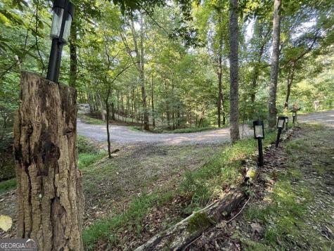 1543 Tipton Springs Road Morganton GA 30560