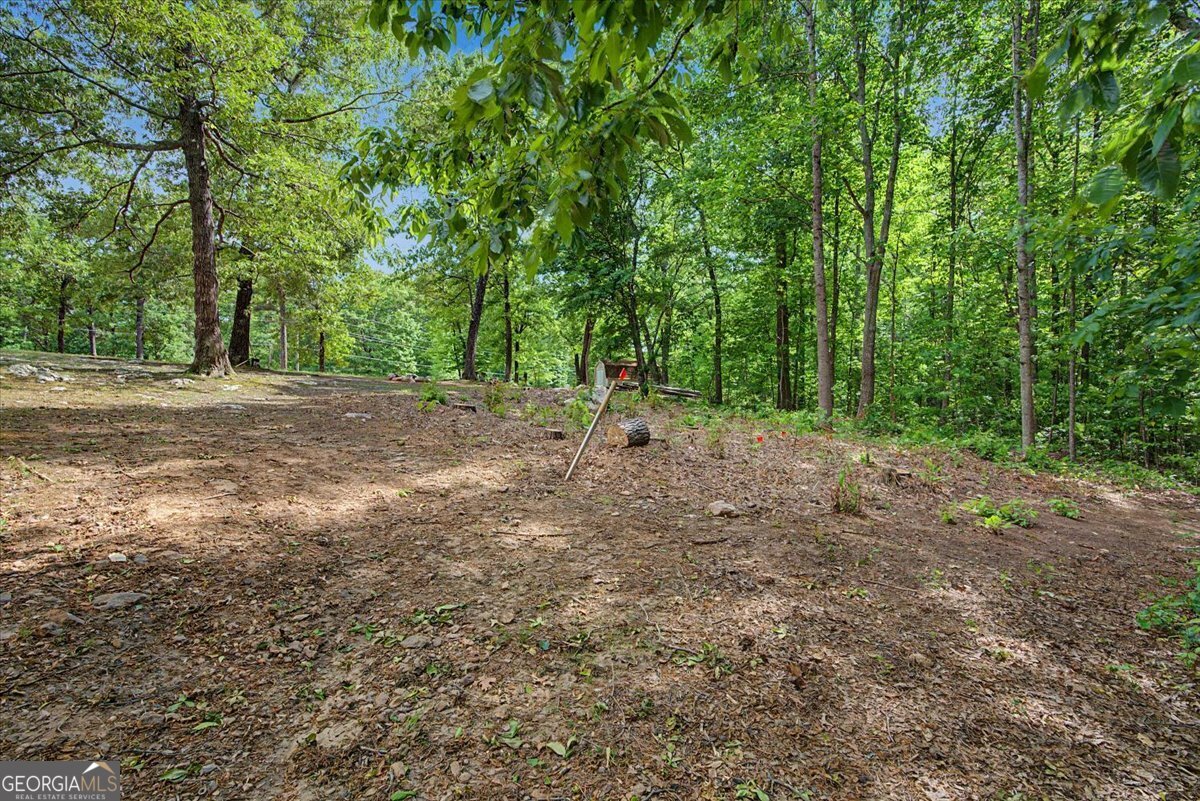 650 N Raburn Road Bremen GA 30110