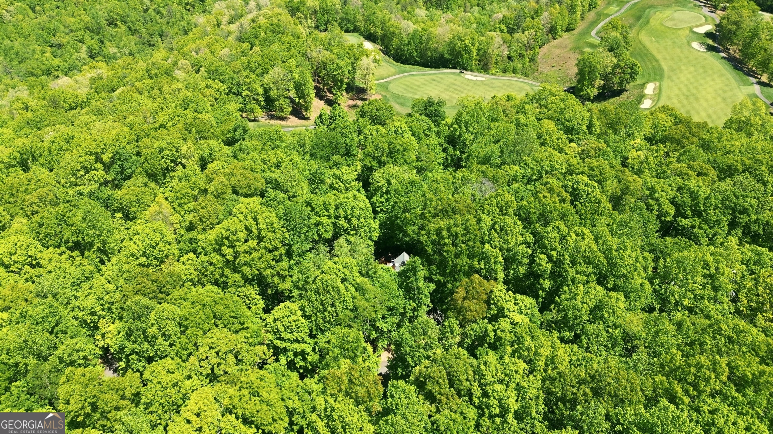 350 Whitetail Trail Clayton GA 30525