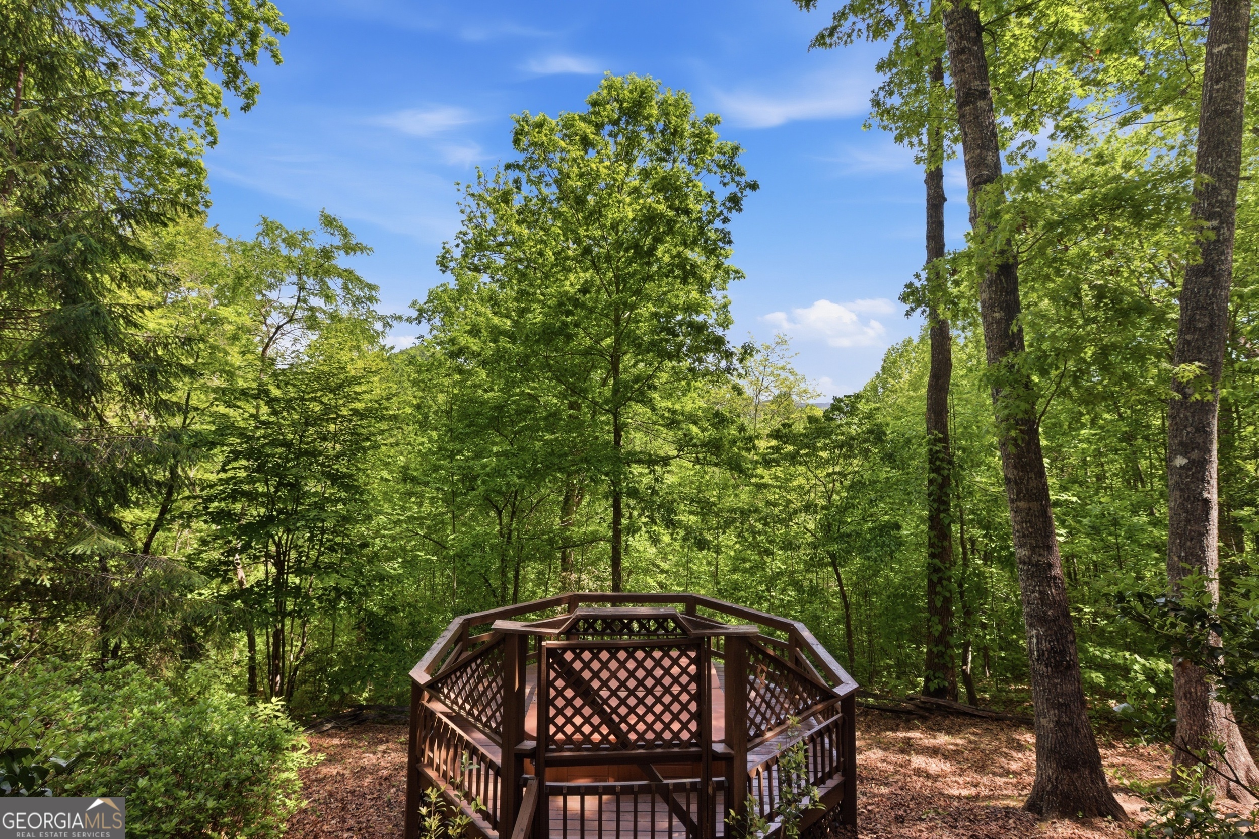350 Whitetail Trail Clayton GA 30525